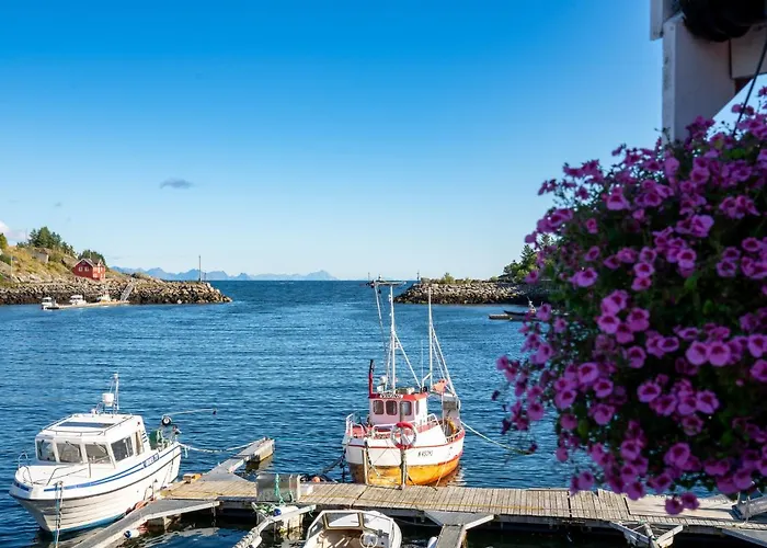 Rorbua Havfruen Sørvågen